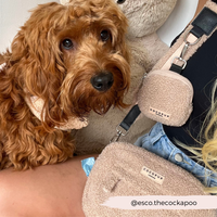 CocoPup London | Dog Walking Bag | Teddy Rupert