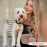CocoPup London | Dog Walking Bag | Teddy Rupert
