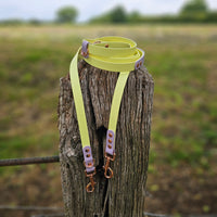 TrinketyPaws™ | BioThane® wasserdichte zweifarbige Trainings Leine® | HANDSFREE | Sherbet Lemon & Lilac mit rosegoldenen Beschlägen