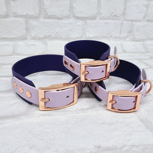 TrinketyPaws™ | BioThane® wasserdichtes zweifarbiges SIGHTHOUND Halsband® | Acid Purple & Lilac mit rosegoldenen Beschlägen