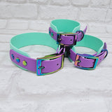 TrinketyPaws™ | BioThane® wasserdichtes zweifarbiges SIGHTHOUND Halsband® | Sea Foam & Amethyst mit rainbow Beschlägen