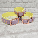 *SALE* TrinketyPaws™ | BioThane® wasserdichtes zweifarbiges SIGHTHOUND Halsband® | Sherbet Lemon & Lilac mit rosegoldenen Beschlägen