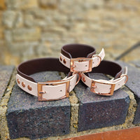 TrinketyPaws™ | BioThane® wasserdichtes zweifarbiges SIGHTHOUND Halsband® | Dark Brown & Powder Pearl mit rosegoldenen Beschlägen