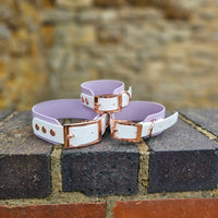 TrinketyPaws™ | BioThane® wasserdichtes zweifarbiges SIGHTHOUND Halsband® | Lilac & White mit rosegoldenen Beschlägen