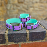 TrinketyPaws™ | BioThane® wasserdichtes zweifarbiges SIGHTHOUND Halsband® | Sea Foam & Amethyst mit rainbow Beschlägen
