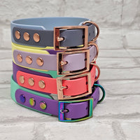 TrinketyPaws™ | BioThane® wasserdichtes zweifarbiges Halsband® | Sherbet Lemon & Lilac mit rosegoldenen Beschlägen