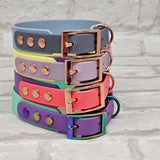 TrinketyPaws™ | BioThane® wasserdichtes zweifarbiges Halsband® | Sherbet Lemon & Lilac mit rosegoldenen Beschlägen