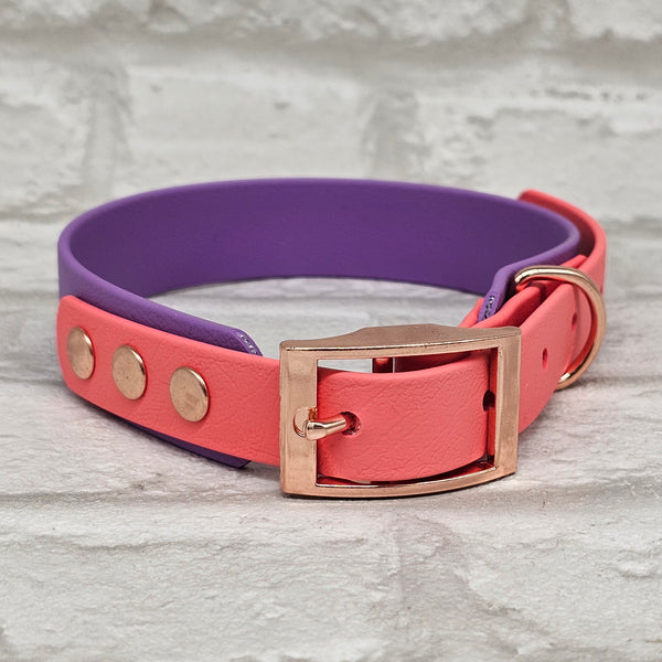 TrinketyPaws™ | BioThane® wasserdichtes zweifarbiges Halsband® | Amethyst & Coral mit rosegoldenen Beschlägen