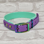 TrinketyPaws™ | BioThane® wasserdichtes zweifarbiges Halsband® | Seafoam & Amethyst mit rainbow Beschlägen