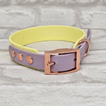 *SALE* TrinketyPaws™ | BioThane® wasserdichtes zweifarbiges Halsband® | Sherbet Lemon & Lilac mit rosegoldenen Beschlägen