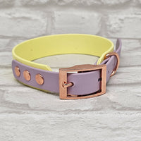 TrinketyPaws™ | BioThane® wasserdichtes zweifarbiges Halsband® | Sherbet Lemon & Lilac mit rosegoldenen Beschlägen