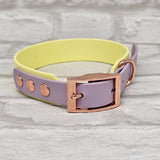 TrinketyPaws™ | BioThane® wasserdichtes zweifarbiges Halsband® | Sherbet Lemon & Lilac mit rosegoldenen Beschlägen