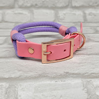 TrinketyPaws™ | Premium Rope / Biothane® zweifarbiges Halsband® | Lilac & Baby Pink mit rosegoldenen Beschlägen