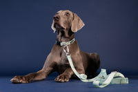 PAIKKA | Glow Hundeleine | Marble Green