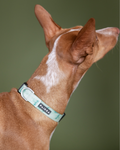 PAIKKA | Leuchthalsband | Marble Green