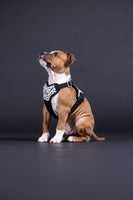 PAIKKA | Hundegeschirr | REFLEKTIEREND | 2.0