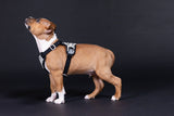 PAIKKA | Hundegeschirr | REFLEKTIEREND | 2.0