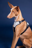 PAIKKA | Hundegeschirr | REFLEKTIEREND | 2.0