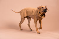 PAIKKA | Fleece Seawool Shirt | Brown