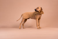 PAIKKA | Fleece Seawool Shirt | Brown