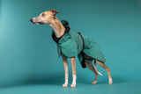 PAIKKA | Visibility Regenmantel | VOLLREFLEKTIEREND | Emerald