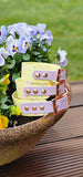 TrinketyPaws™ | BioThane® wasserdichtes SIGHTHOUND Halsband® mit Leine (optional) | Pastel Splatter Collection | Lemon & Lilac
