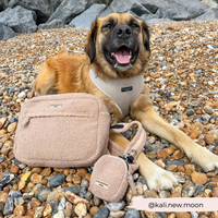 CocoPup London | Leckerlietasche | Teddy