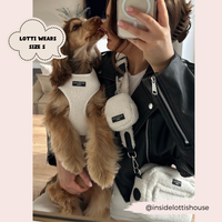 *SALE* CocoPup London | Dog Walking Bag | Teddy Dolly