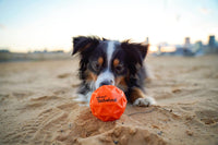 Waboba | Tailwind | Bouncing Ball