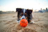 Waboba | Tailwind | Bouncing Ball