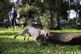 Waboba | Fetch | Wasser Wurfball