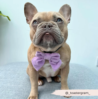 CocoPupLondon | Sailor Bow Tie | Fliege | Flieder Cord