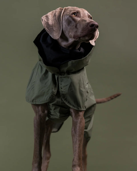 PAIKKA | Reflective Rain Coat | VOLLREFLEKTIERENDER Regenmantel | Green
