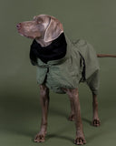 PAIKKA | Reflective Rain Coat | VOLLREFLEKTIERENDER Regenmantel | Green