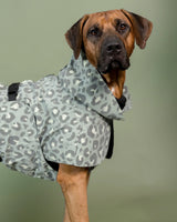 PAIKKA | VISIBILITY Rain Coat Lite | VOLLREFLEKTIERENDER Regenmantel Lite | Green Leo