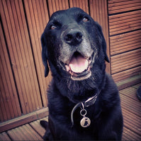 ID Tag | Namens- & Erkennungsmarke | Anhänger | Black Labrador
