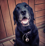 ID Tag | Namens- & Erkennungsmarke | Anhänger | Black Labrador