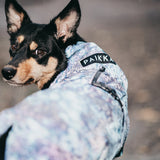 PAIKKA | Vollreflektierender Hunderegenmantel | Lite Petrol Dye