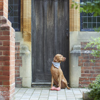 Sweet William Design | Tweed Bandana | Grey