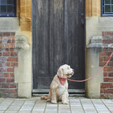 Sweet William Design | Tweed Bandana | Orange