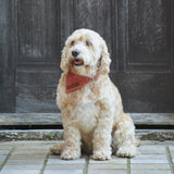 Sweet William Design | Tweed Bandana | Orange