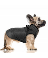 Milk&Pepper | Puffer Jacke mit Geschirr | Climber Anthracite