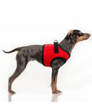*SALE* Milk&Pepper | Step In Geschirr | Musher Red