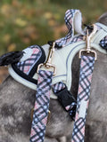 *SALE* Hilde's Schätze | Multifunktions Geschirr | Sherlock Glow | Auch für Bulldoggen