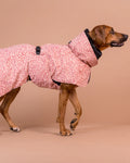 PAIKKA | Visibility Hundewintermantel | Red Mix