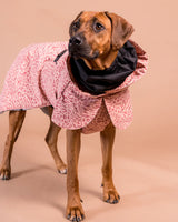 PAIKKA | Visibility Hundewintermantel | Red Mix