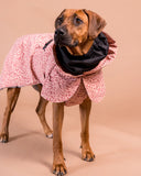 PAIKKA | Visibility Hundewintermantel | Red Mix