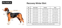 PAIKKA | Recovery | Winter Shirt | Grau