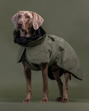 PAIKKA | Visibility Hundewinterjacke | REFLEKTIEREND | Wool Green