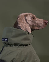 PAIKKA | Visibility Hundewinterjacke | REFLEKTIEREND | Wool Green